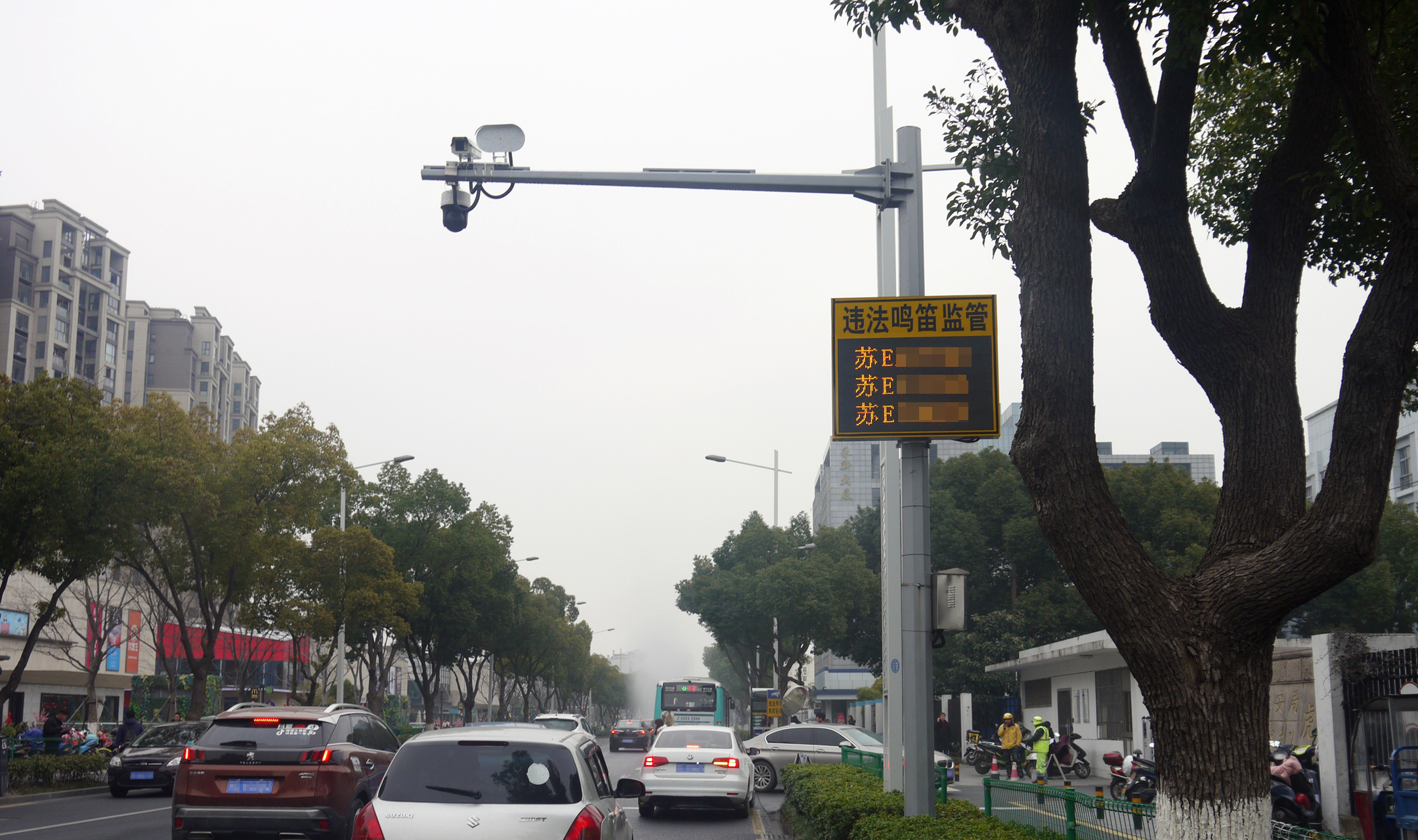 清聽聲學(xué)鳴笛抓拍